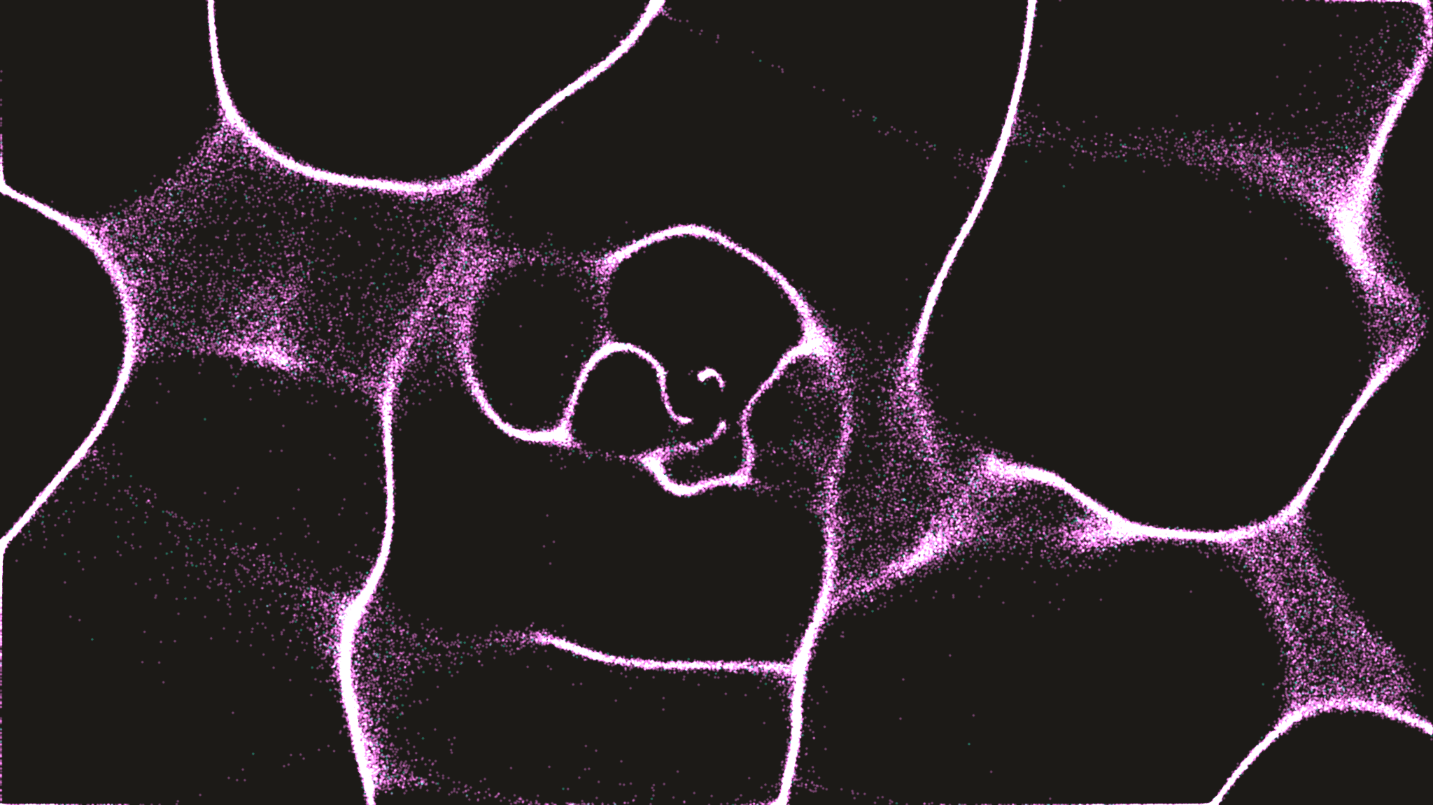 Gitcoin Grants Rounds GG20-GG24