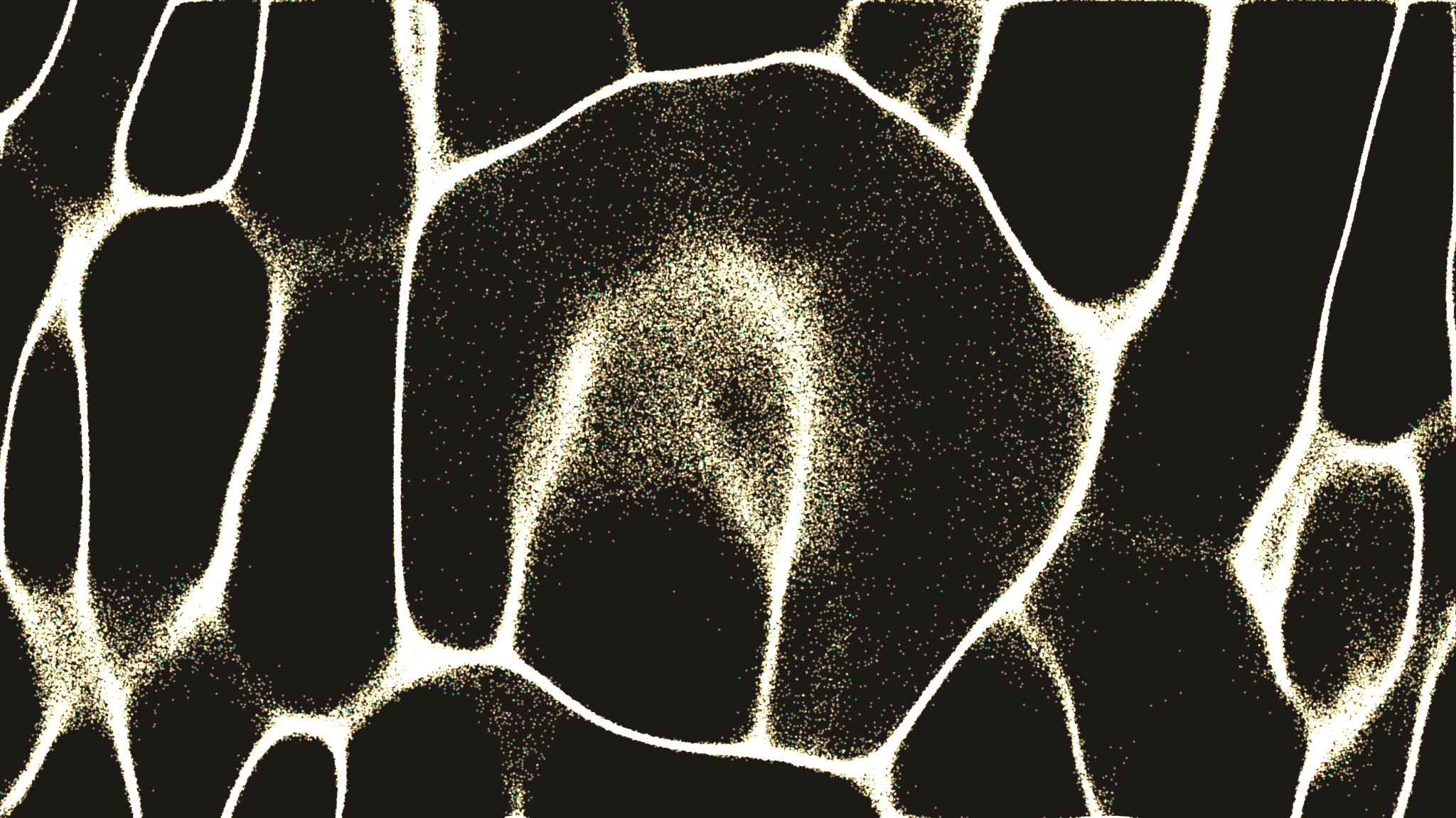 Regenerative Economics